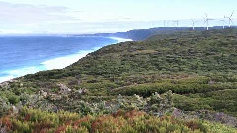 Photo: Albany Wind Farm